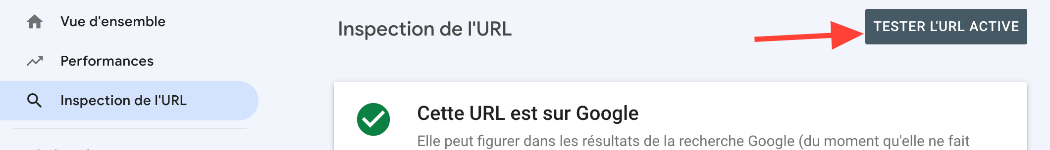 Cache Google : quelques petites réflexions