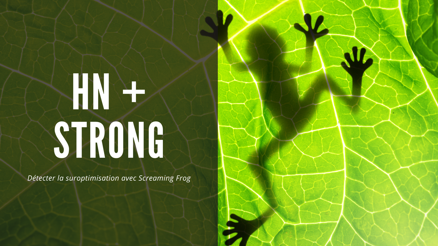 Balise strong dans une balise hn : détectez la suroptimisation avec Screaming Frog !